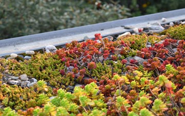 the cost of Harcombe Bottom green roof installation