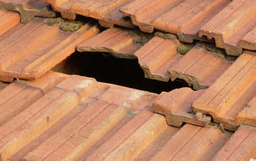 roof repair Harcombe Bottom, Devon